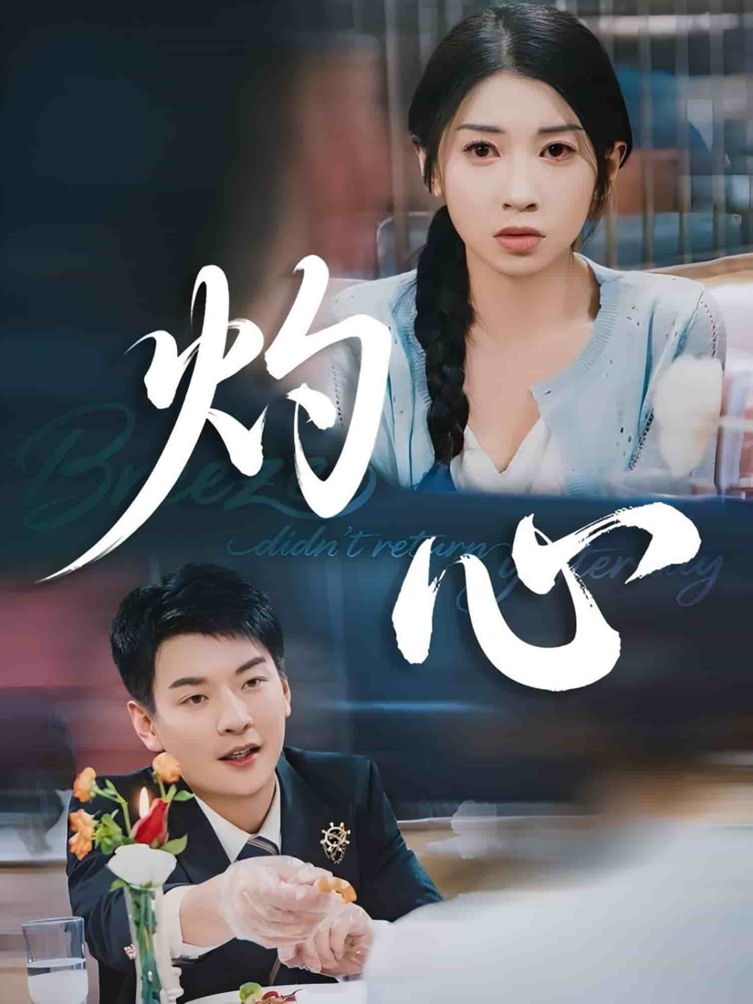 灼心（短剧版） 第30集