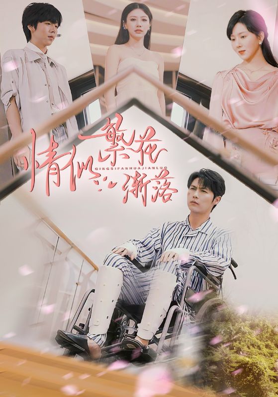 情似繁花渐落 第33集