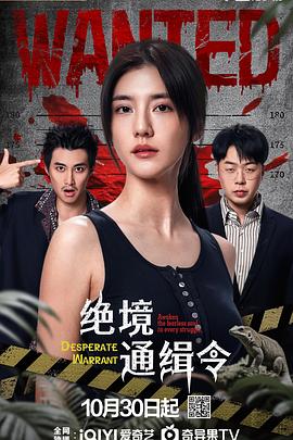 绝境通缉令 第08集