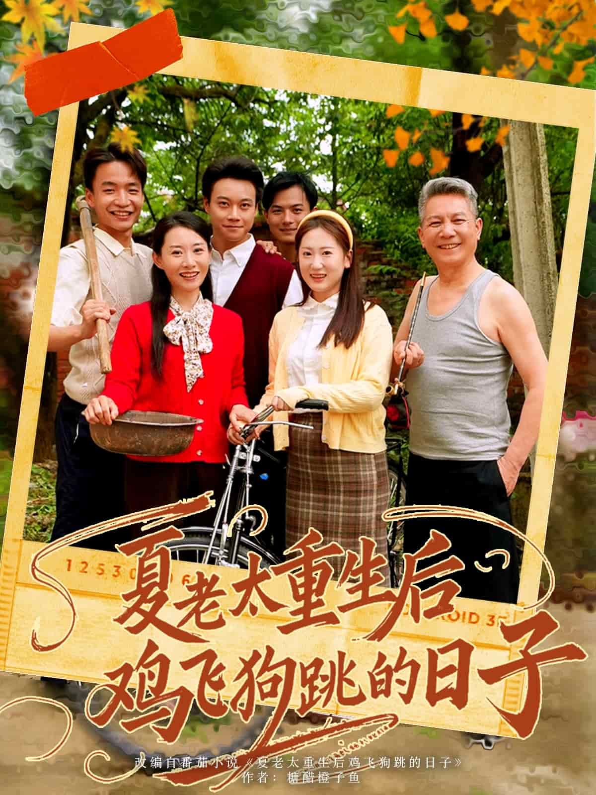 夏老太重生后鸡飞狗跳的日子 第13集