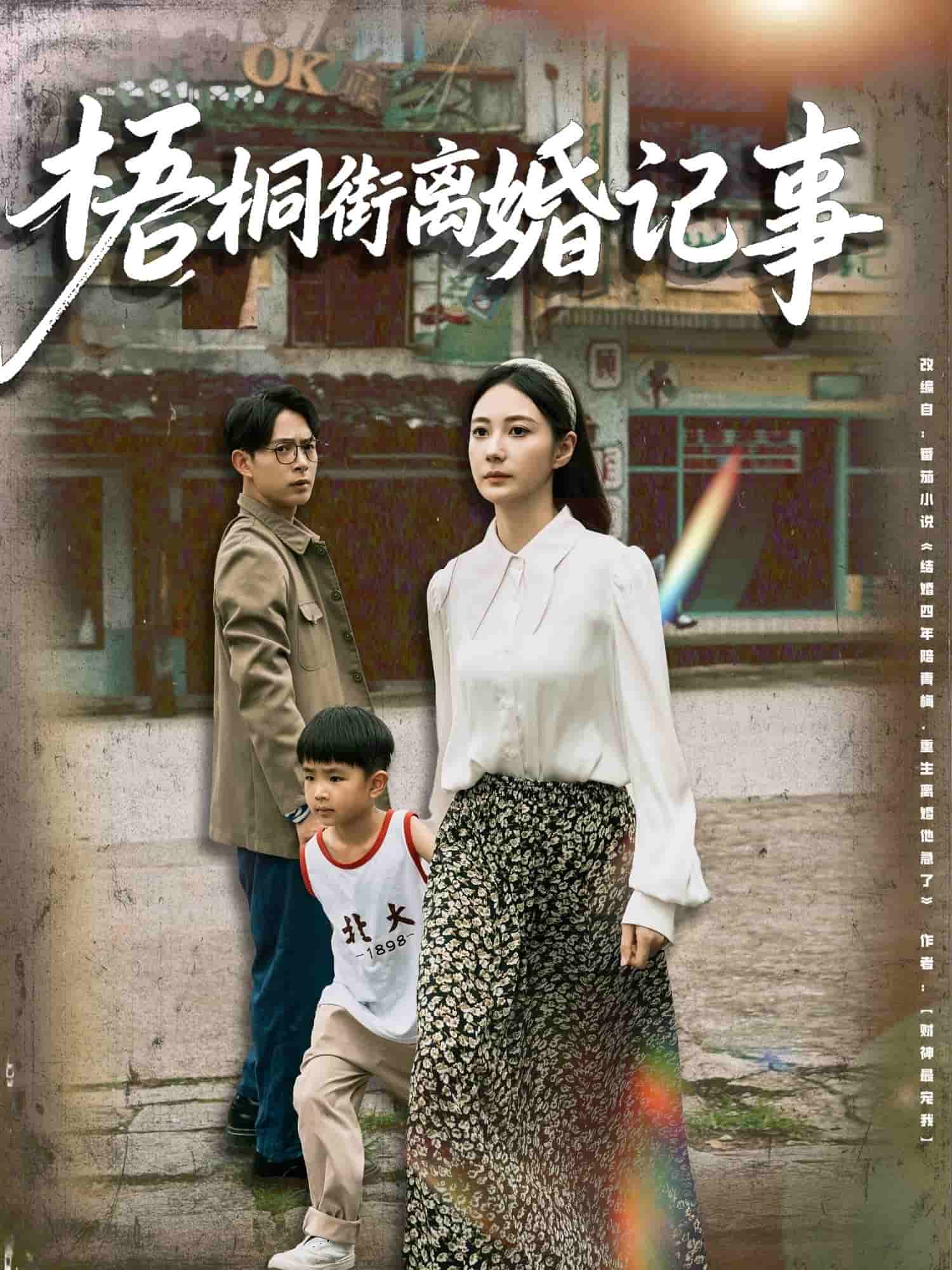 梧桐街离婚记事 第15集