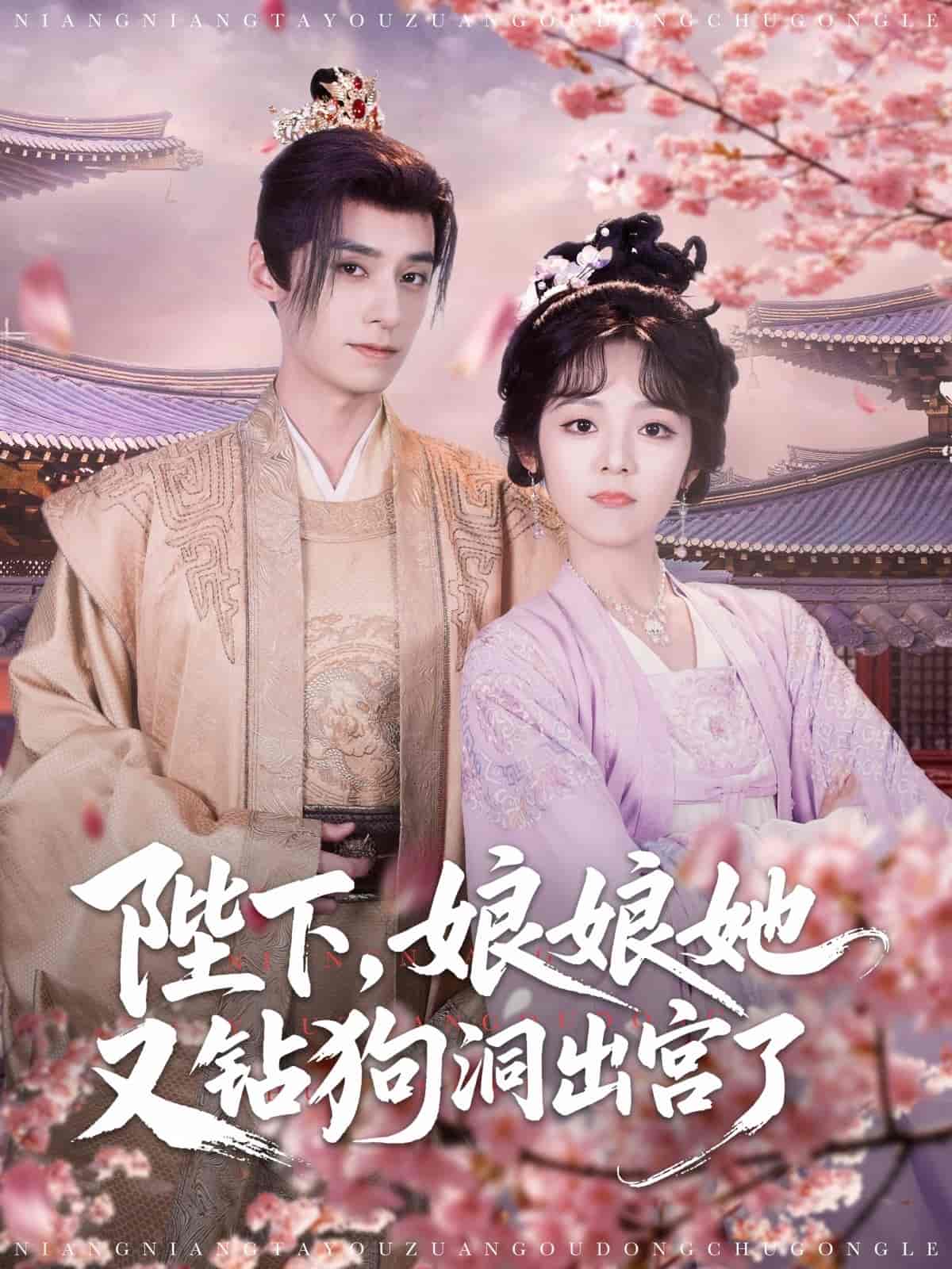 陛下娘娘她又钻狗洞出宫了 第4集