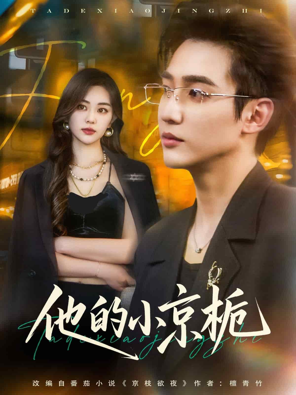 他的小京栀 第45集