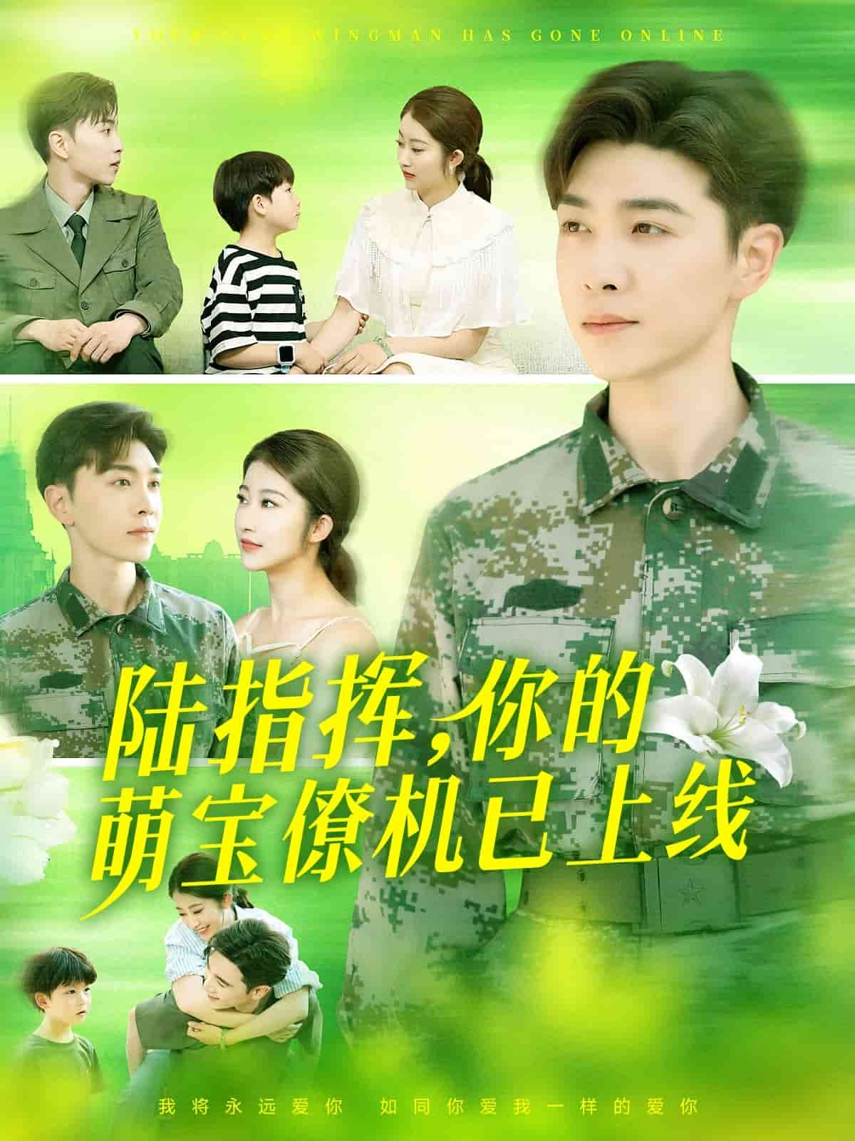 陆总你的萌宝已上线 第064集