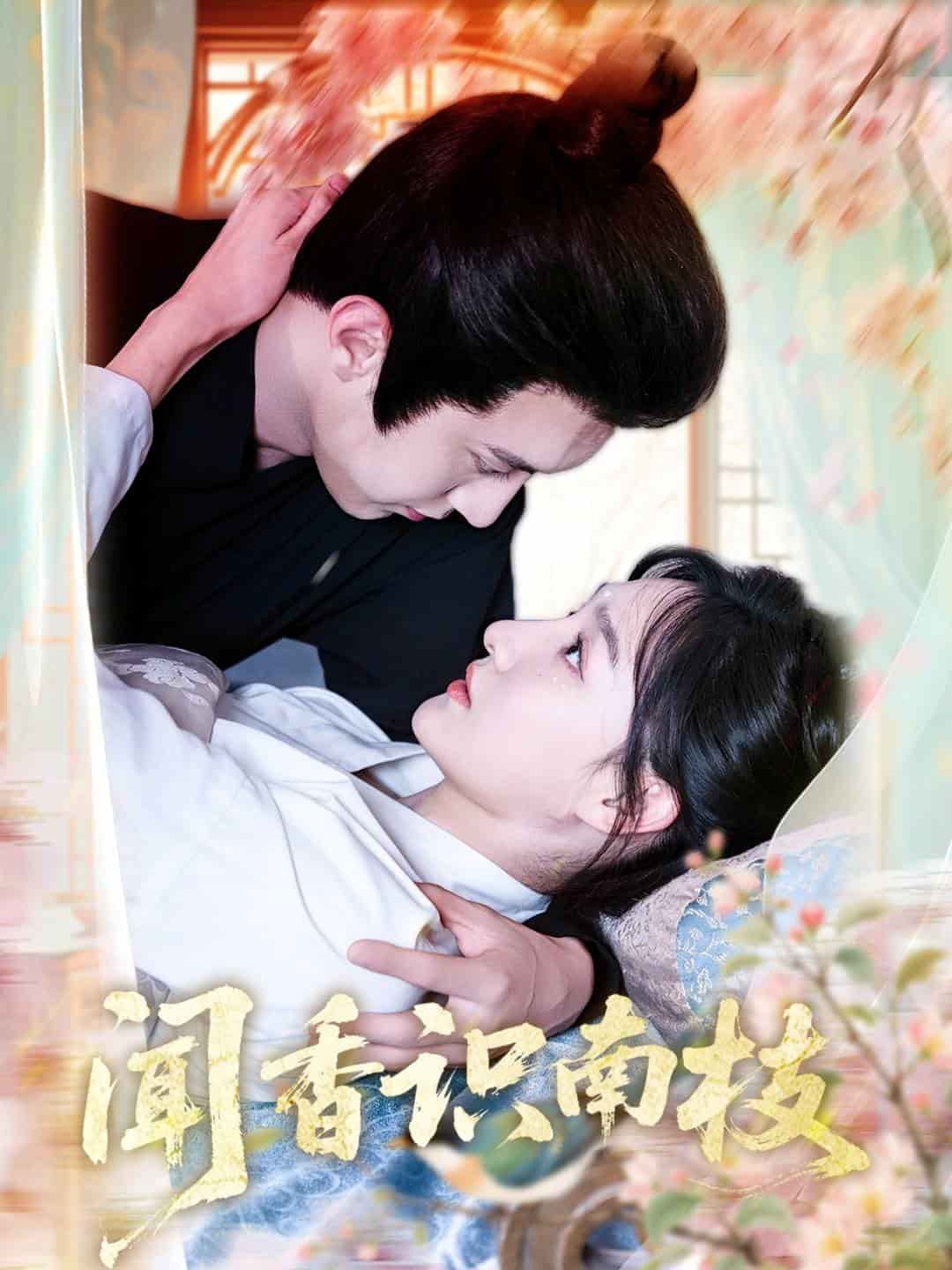 闻香识南枝 第09集