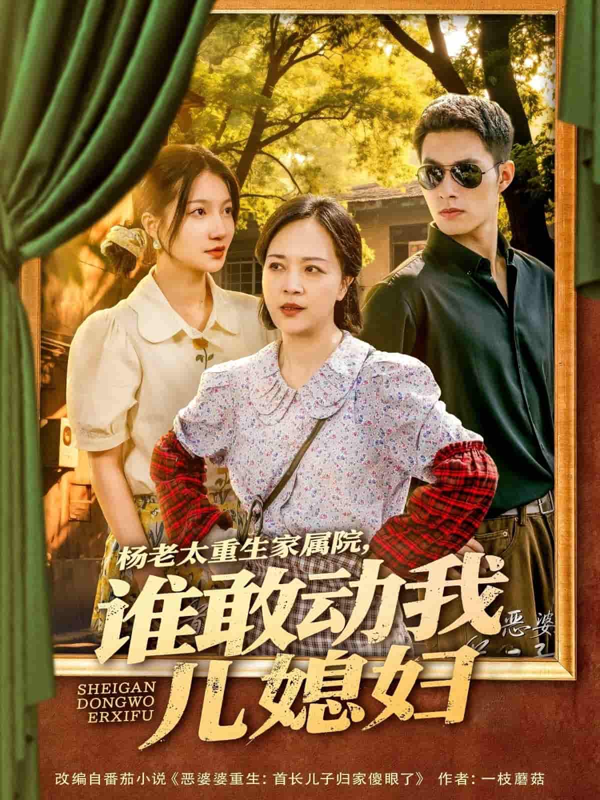 杨老太重生家属院，谁敢动我儿媳妇 第79集