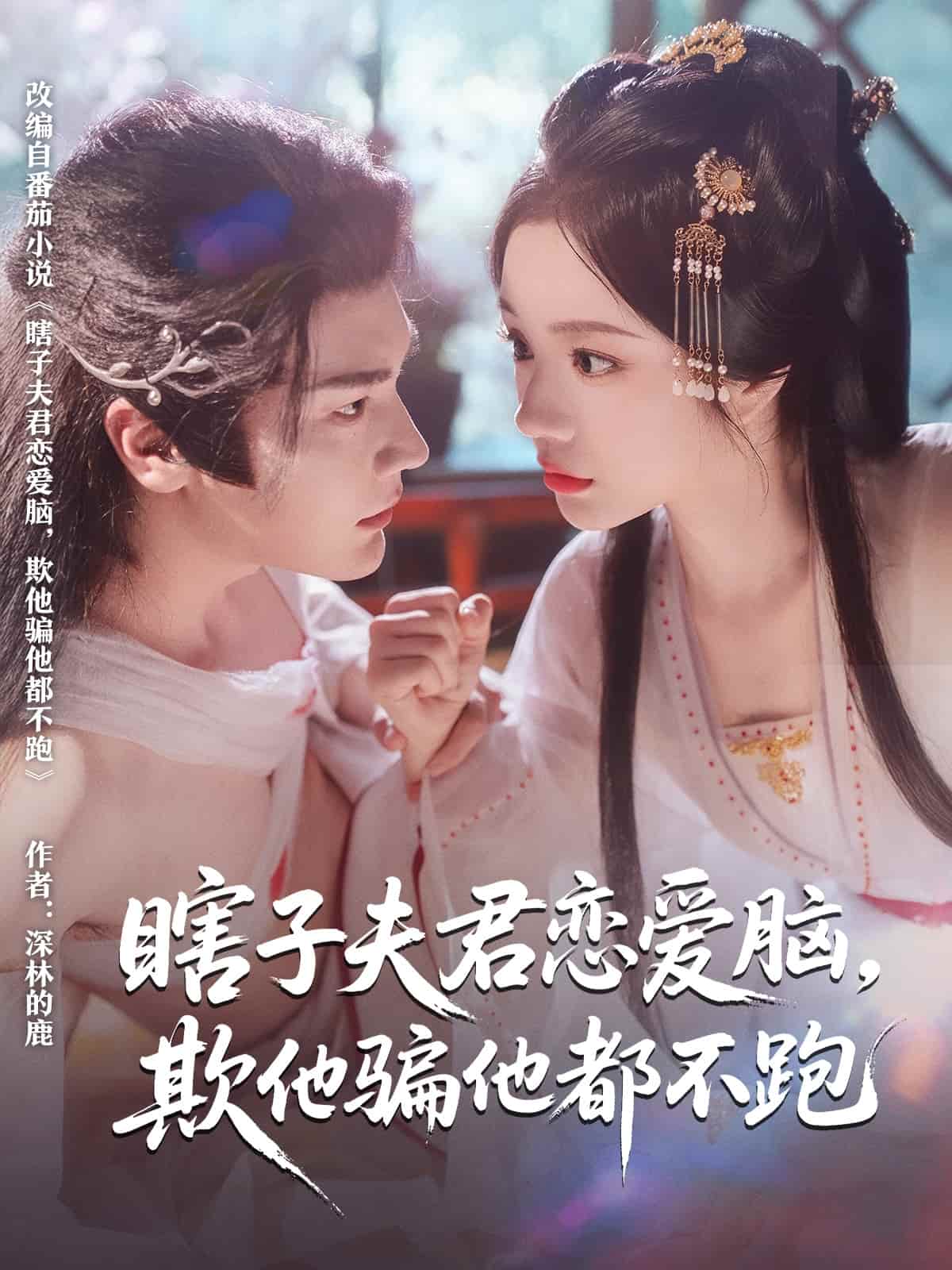 瞎子夫君恋爱脑欺他骗他都不跑 第01集