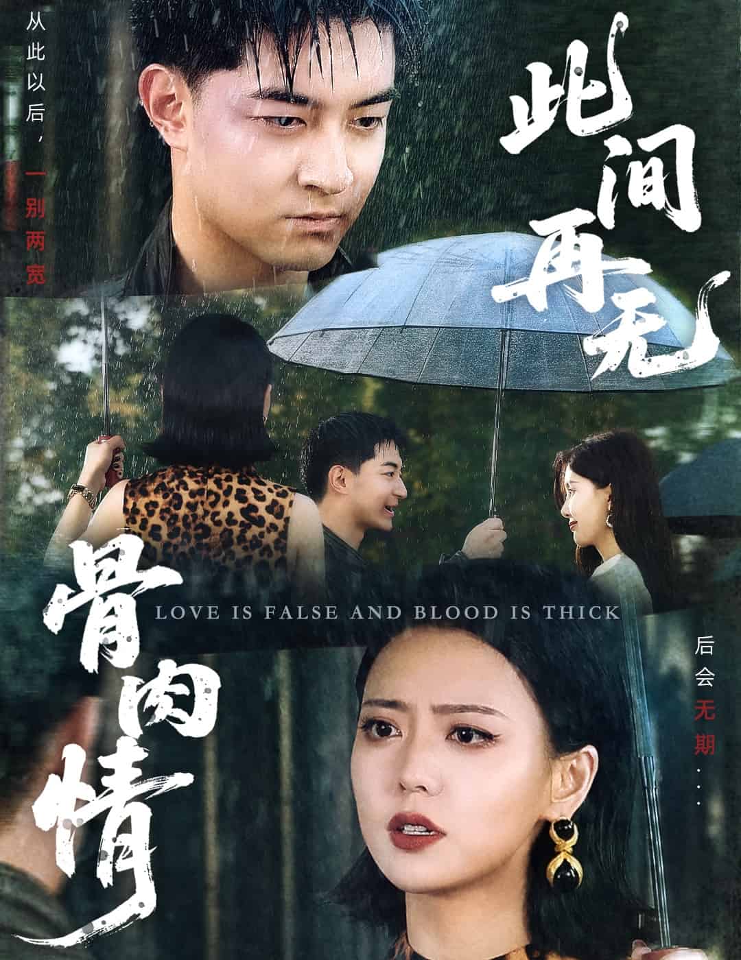此间再无骨肉情 第28集