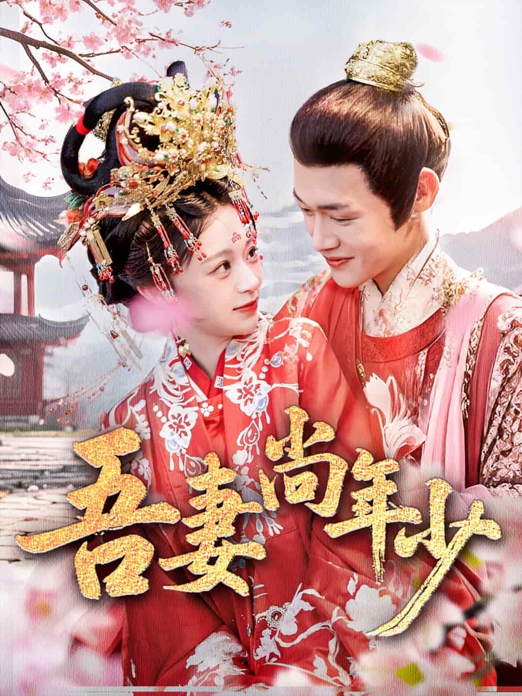 吾妻尚年少 第28集