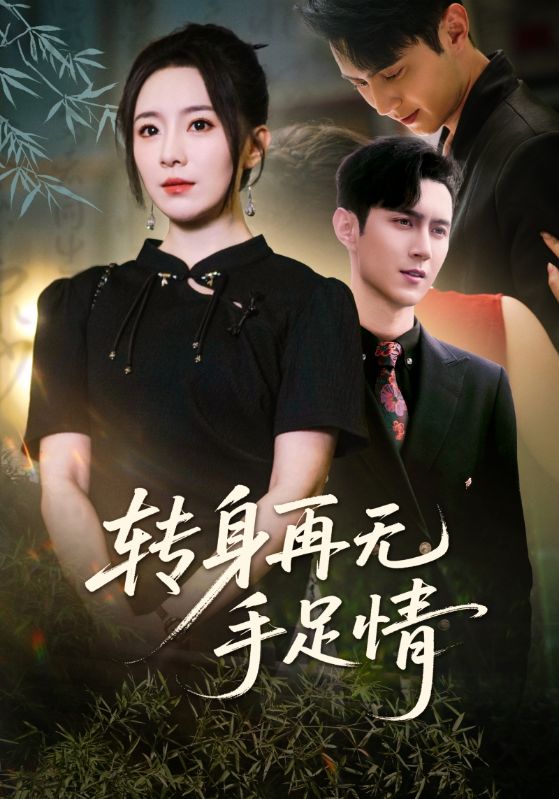 转身再无手足情 第03集
