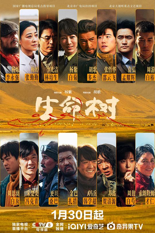生命树 第18集