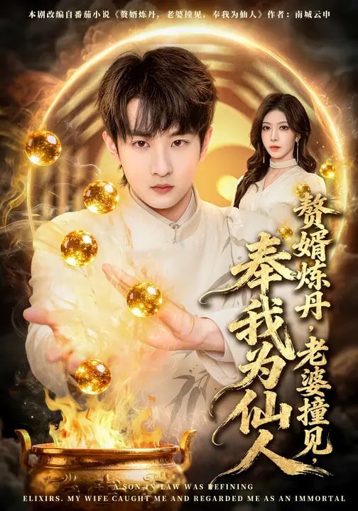 赘婿炼丹，老婆撞见，奉我为仙人 第35集