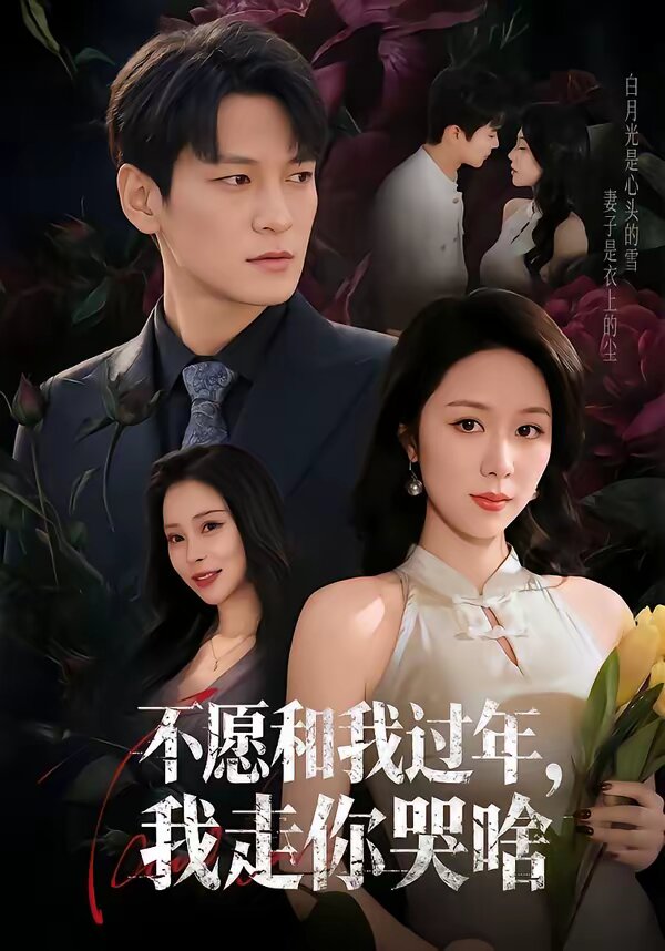 不愿和我过年，我走你哭啥 第46集
