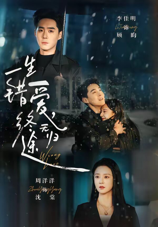 一生错爱，终无归途 第34集